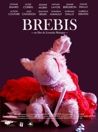 Brebis poster