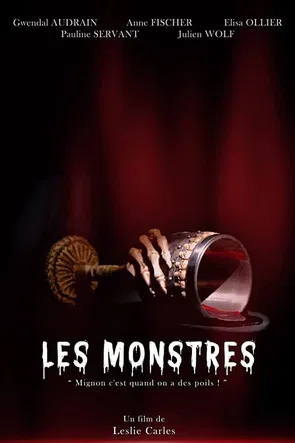 Les Monstres poster