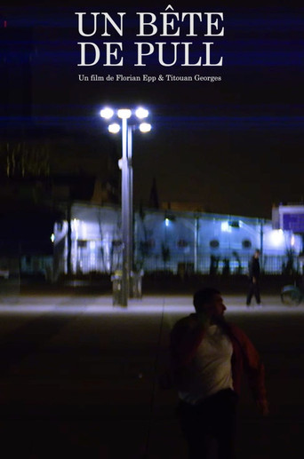 Un Bête de Pull poster