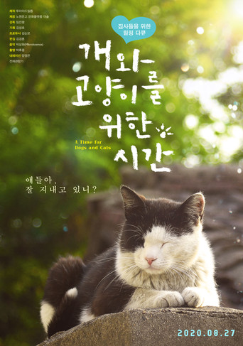 A Time for Dogs and Cats poster