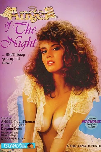 Angel of the Night poster