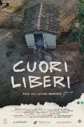 Cuori liberi - Fino all'ultimo respiro poster
