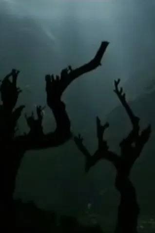 The Nu Family poster