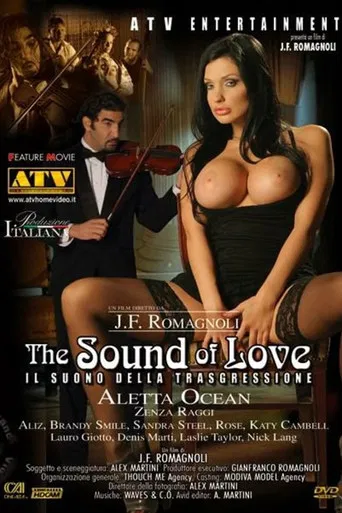 The Sound Of Love poster