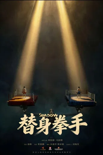 替身拳手 poster