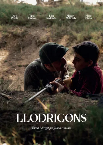 Llodrigons poster