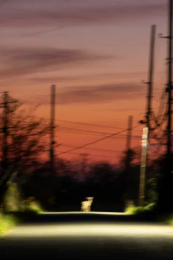 Specters of Watch Oak poster