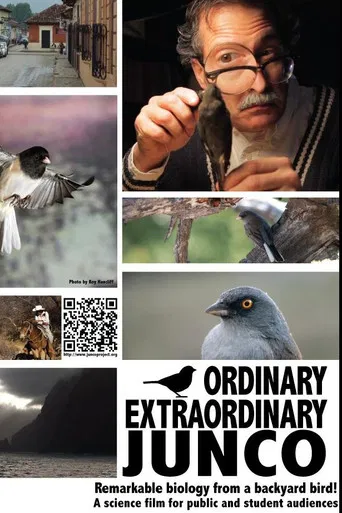 Ordinary Extraordinary Junco poster
