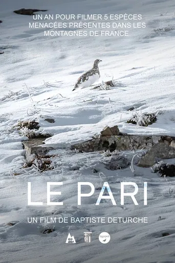 Le pari poster