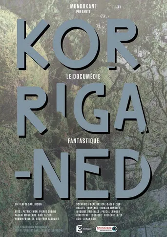 Korriganed poster