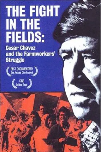 The Fight In The Fields poster