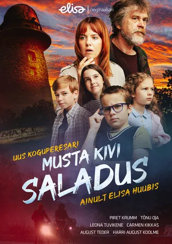 Musta kivi saladus poster