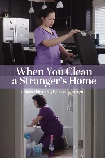 When You Clean a Stranger's Home poster