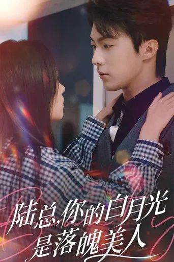 陆总, 你的白月光是落魄美人 poster