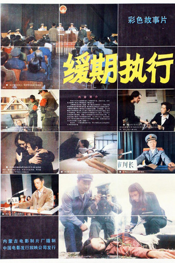 缓期执行 poster