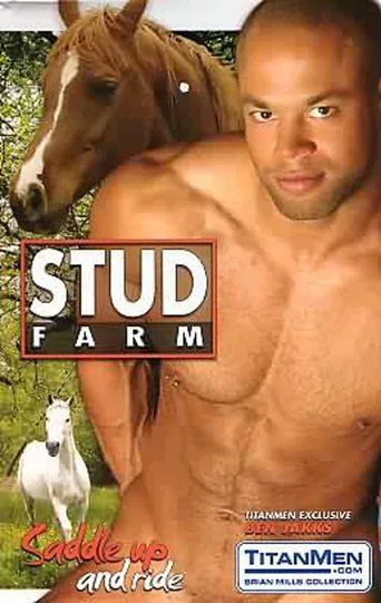 Stud Farm poster