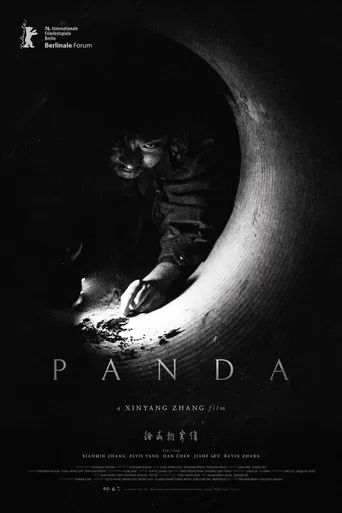 Panda poster