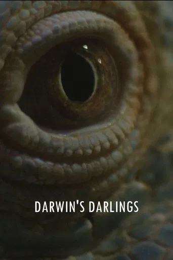 Darwin's Darlings poster