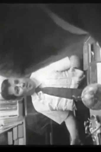 Who Shot Alexander Hamilton poster