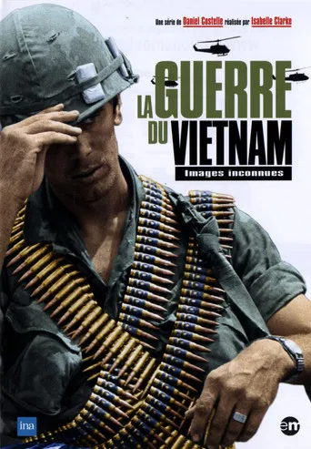 The Vietnam War: Before, During, After poster