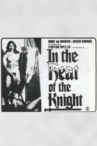 In The Heat of The Knight poster