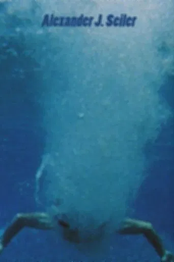 Sounding the Surface poster