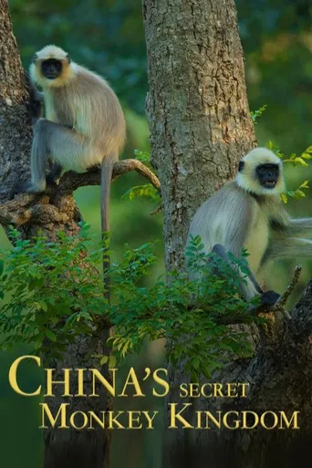 China's Secret Monkey Kingdom poster