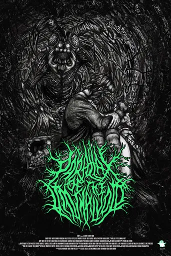 Parallax Of The Liminal Void poster