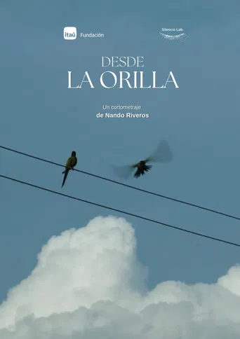 From the shore poster