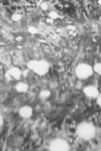 Parking Lot Attendant poster