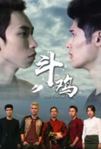 斗鸡 poster