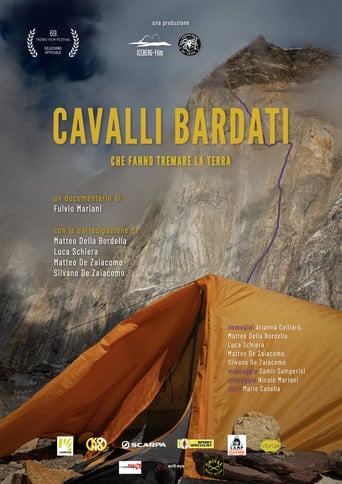 Cavalli bardati poster