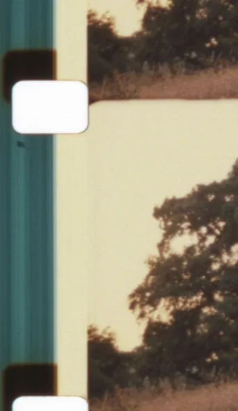 Light, Blaze, Fulgor - Auguries for a Non-Hierarchical Framing and Flourishing poster