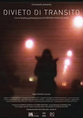 Forbidden Transit poster