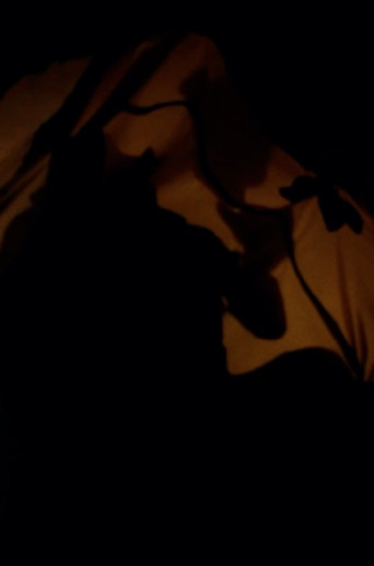 Begzor Begzar poster