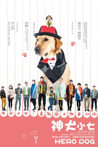 Hero Dog poster