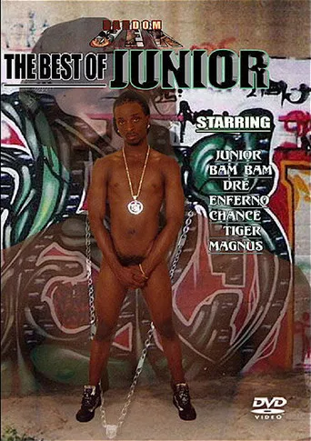 The Best of Junior poster