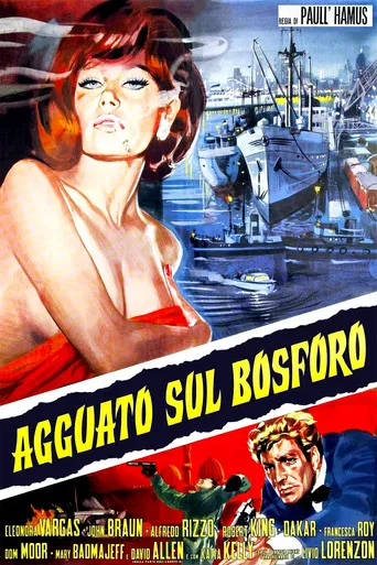 Agguato sul Bosforo poster