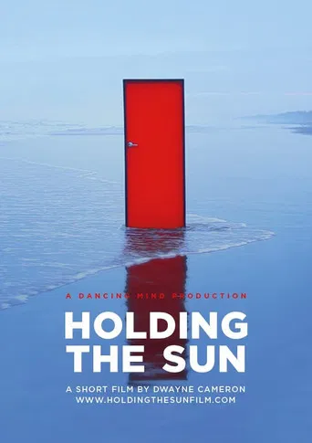 Holding the Sun poster