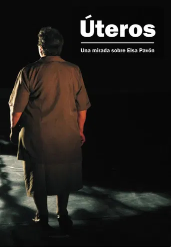 Úteros: una mirada sobre Elsa Pavón poster