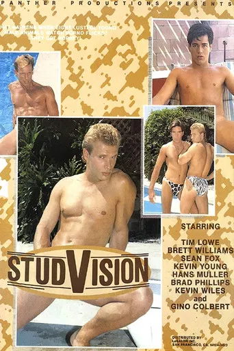 StudVision poster