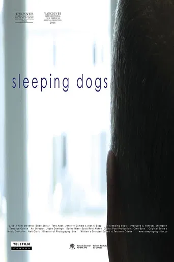 Sleeping Dogs poster