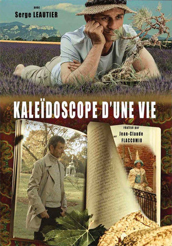 Kaleidoscope of a Life poster