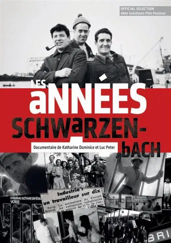 Les années Schwarzenbach poster