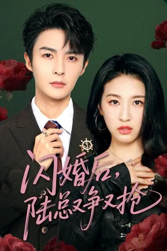 闪婚后陆总又争又抢 poster