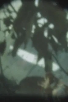 INITIAL VAPOR poster