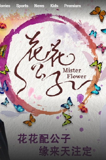 Mister Flower poster