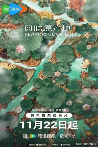 风味原产地·湖北 poster