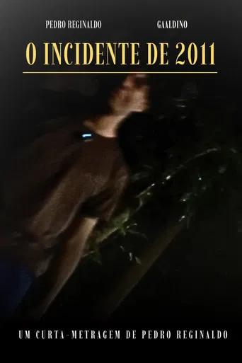 O INCIDENTE DE 2011 poster