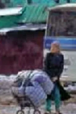 Apricots in the Baskets poster